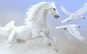 Beautiful Horse Wallpaper