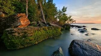 Full Nature Wallpaper X Close