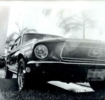 Mustang By Camteru
