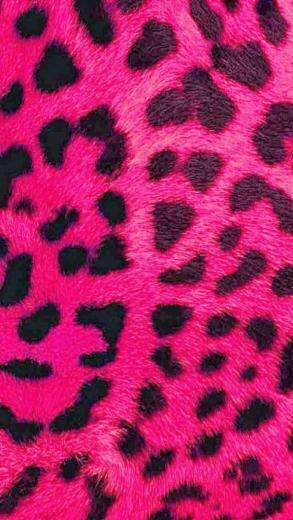 Free download Light Pink Leopard Print Showcase chic pink leopard ...