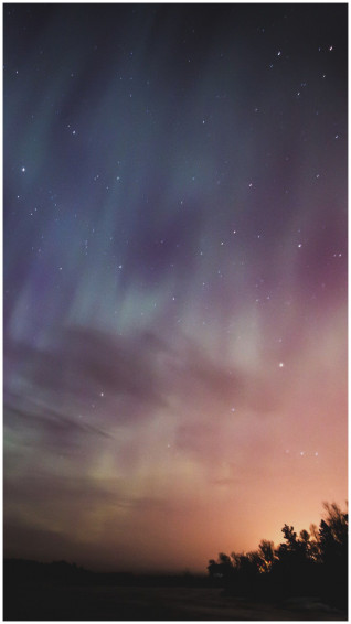 Aesthetic Wallpaper For iPhone