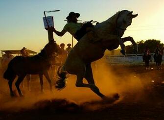 Barrel Racing Background HD Net