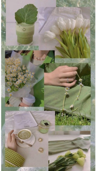 Rojhanie On Pins By You Wallpaper