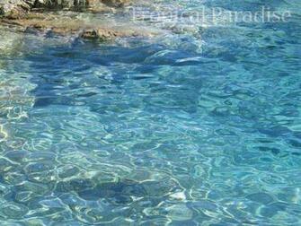 Caribbean Wallpaper