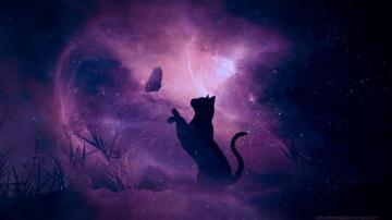 Fantasy Animals Purple Galaxy Wallpaper Laptop