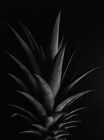 Pineapple Wallpaper
