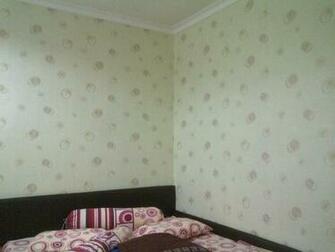 Wallpaper Dinding Versus Cat Tembok