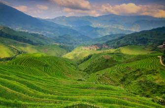 Scenic Of Hillside Terraces Wallpaper