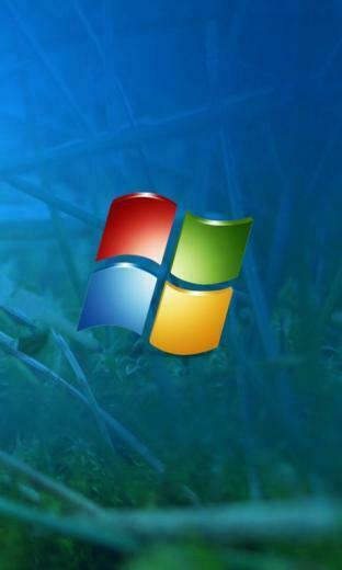 Please Enjoy It Tags Windows Theme HD Wallpaper