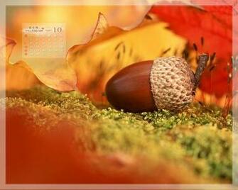 Desktop Calendar Of October Amazing Wallpaper11