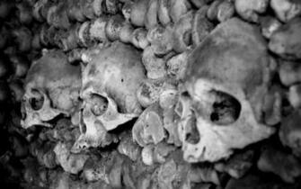 Black And White Skulls Wallpaper