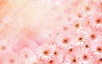 Pink Daisies And Hearts Wallpaper