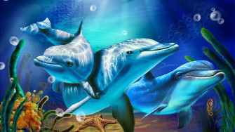 Cute Dolphin Digital Picture Wallpaper