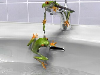 Hq Frog Wallpaper