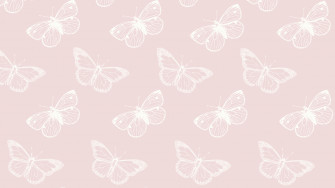 Laptop Wallpaper