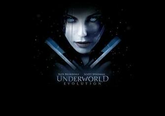 Evolution HD Wallpaper Best Fan