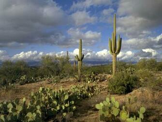 Arizona Usa Wallpaper And Image Pictures Photos
