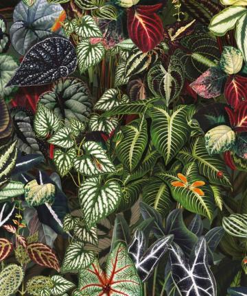 Verde Wallpaper Lush Botanical Milton King Usa