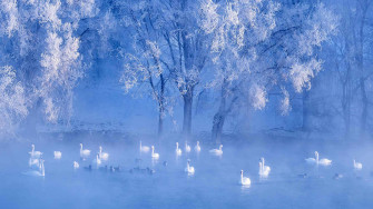 Winter Solstice Wallpaper