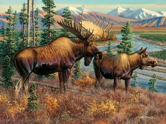 Majestic Moose Wallpaper