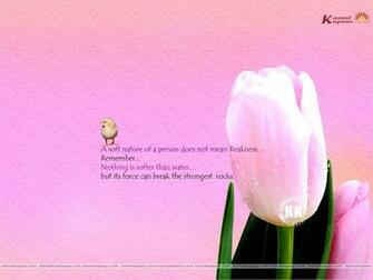 Day Happy Thanksgiving Desktop Thoughts