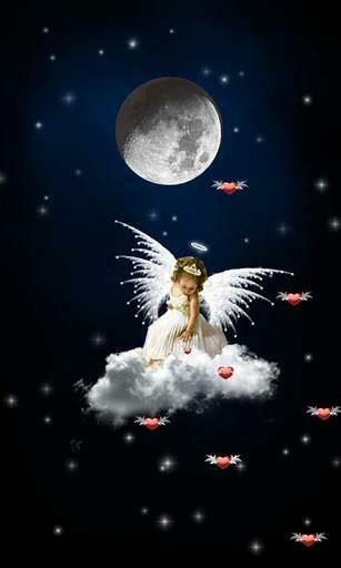 Fairy Night Live Wallpaper App For Android