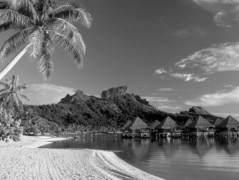 Black And White Wallpaper Beach Landscape HD