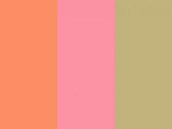 Resolution Salmon Pink And Sand Solid Three Color Background