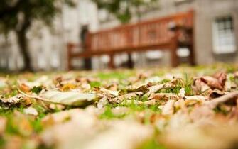 Go Back Pix For College Background Wallpaper
