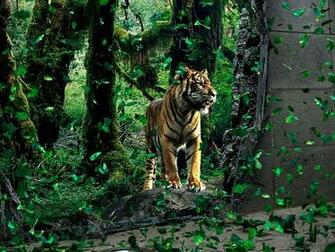 Wild Wallpaper