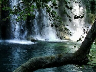 Forest Waterfall Wallpaper Pedia