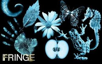 Image Fringe Tv Show Symbols Pc Android iPhone And iPad Wallpaper