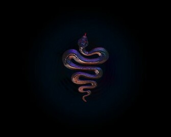 Snake Wallpaper 3d HD In Animals Imageci