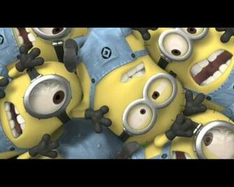 X Jpeg 419kb Minions Despicable Me Photo