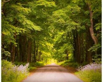 Country Road Wallpaper Hq Desktop