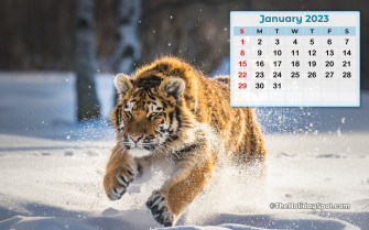 Calendar Wallpaper For HD Monthly