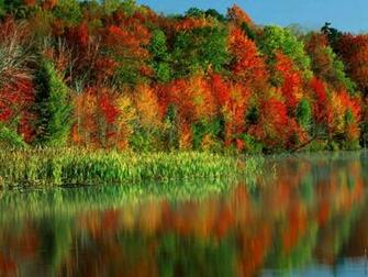 Colorful Nature Wallpaper Open Walls