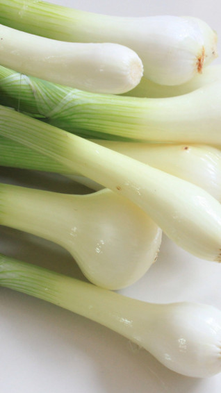 Green Onions Wallpaper