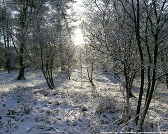 Winter Screensavers For