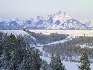 Winter Mountain Forest Wyoming Wallpaper
