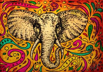 African Indian Elephant By Seethemagic For