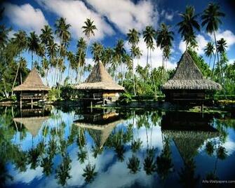 Paradise Wallpaper Art Print Poster Tropical