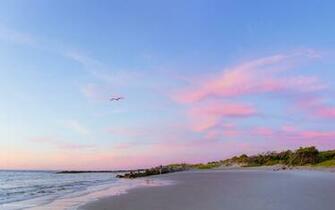 Dual Screen Wallpaper Charleston At Sea Level Twelve South