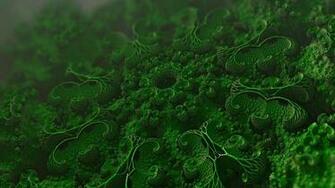 Wallpaper Microorganisms Cells Microscopic