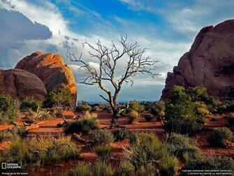 Arches National Park Wallpaper