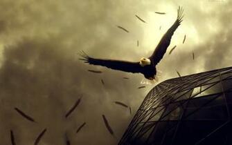 Eagle Flight Wallpaper HD