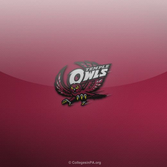 Temple Owls iPad Wallpaper Brand Thunder