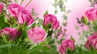 Rose Live Wallpaper 9c29ba H900 Jpg