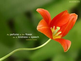 Inspirational Wallpaper The Secret