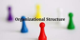 Organizational Structure Common Types Of Organization In
